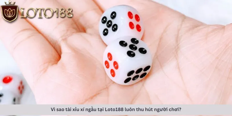 Lý do thu hút người chơi