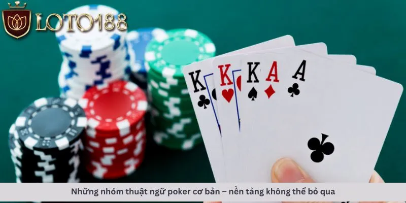 Các nhóm thuật ngữ cơ bản