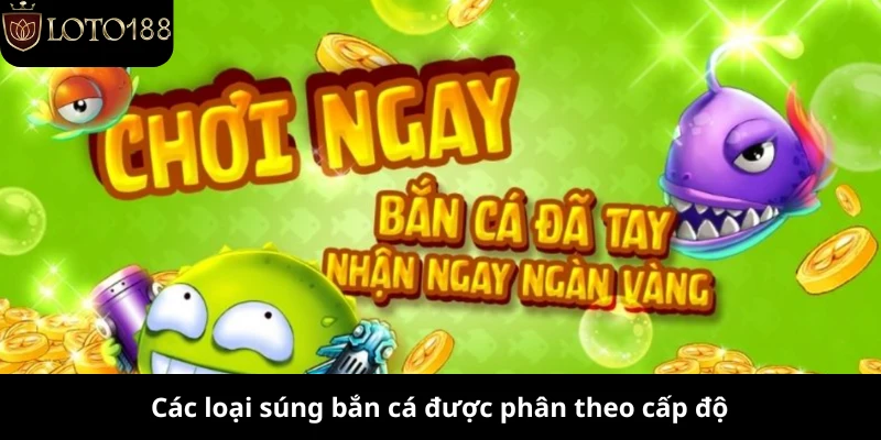 Các loại súng bắn cá được phân theo cấp độ