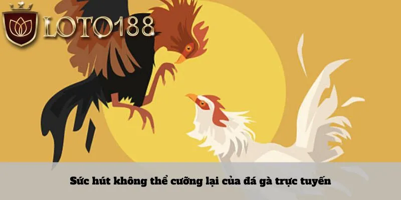 Sức hút không thể cưỡng lại của đá gà trực tuyến