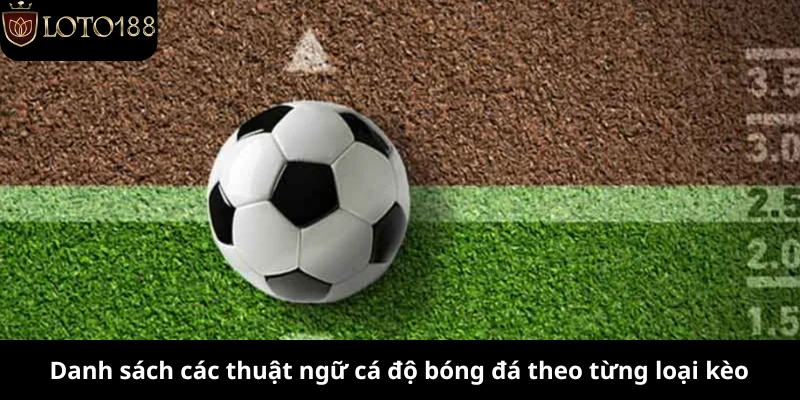 Danh sách các thuật ngữ cá độ bóng đá theo từng loại kèo