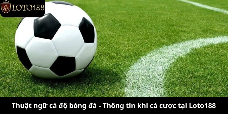 thuat ngu ca do bong da thong tin ca cuoc tai loto188
