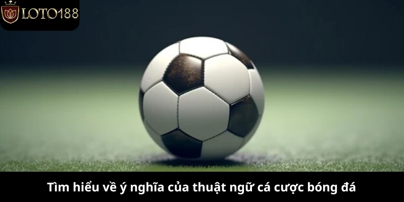 Tìm hiểu về ý nghĩa của thuật ngữ cá độ bóng đá