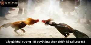 vảy gà khai vương